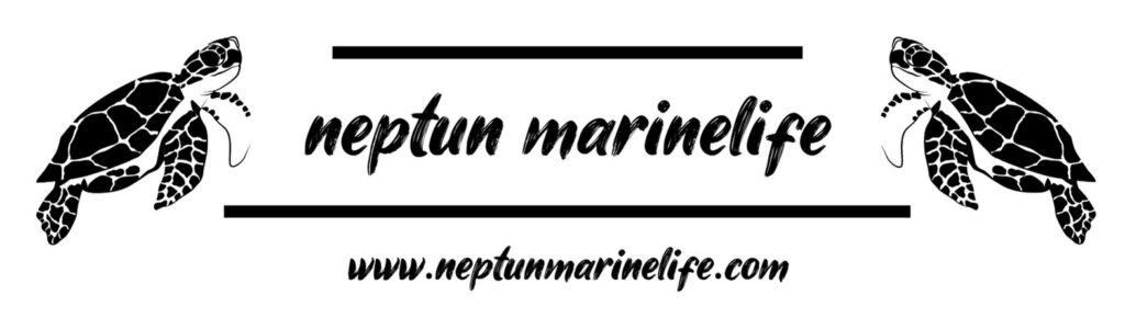 neptun-marinelife-black